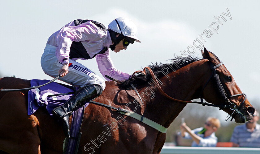 Traffic-Fluide-0005 
 TRAFFIC FLUIDE (Joshua Moore) wins The Barchester Healthcare Silver Trophy Chase Cheltenham 18 Apr 2018 - Pic Steven Cargill / Racingfotos.com