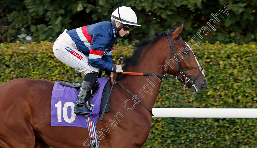 Spanish-Kiss-0002 
 SPANISH KISS (Hollie Doyle)
Kempton 2 Oct 2019 - Pic Steven Cargill / Racingfotos.com