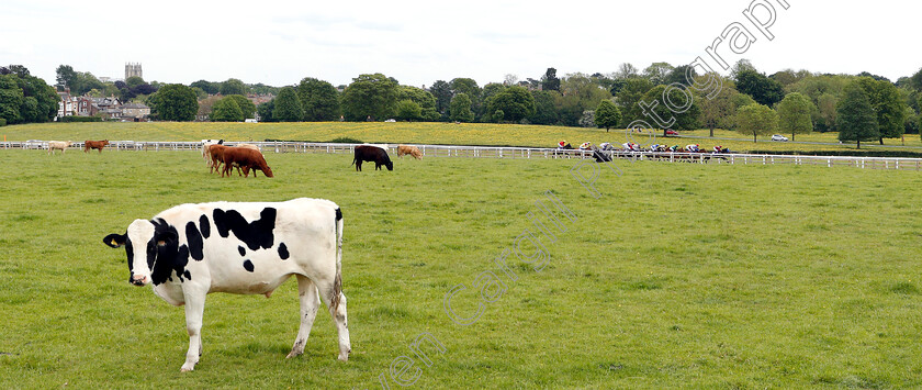 Beverley-0002 
 Racing at Beverley
29 May 2019 - Pic Steven Cargill / Racingfotos.com