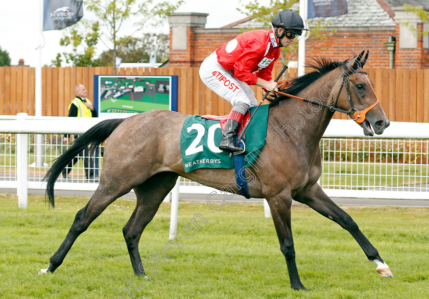 Ocasio-Cortez-0001 
 OCASIO CORTEZ (Franny Norton)
Newbury 20 Jul 2019 - Pic Steven Cargill / Racingfotos.com