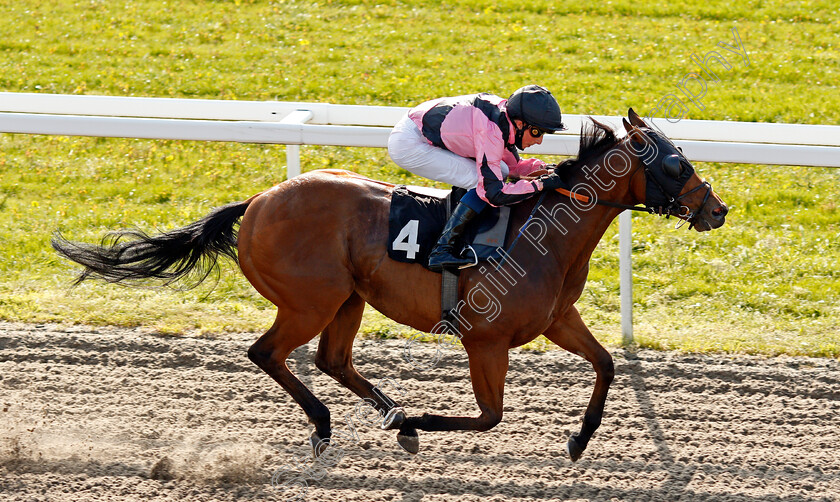 Top-Breeze-0005 
 TOP BREEZE (William Buick) wins The Ministry Of Sound Classical Handicap
Chelmsford 3 Jun 2021 - Pic Steven Cargill / Racingfotos.com