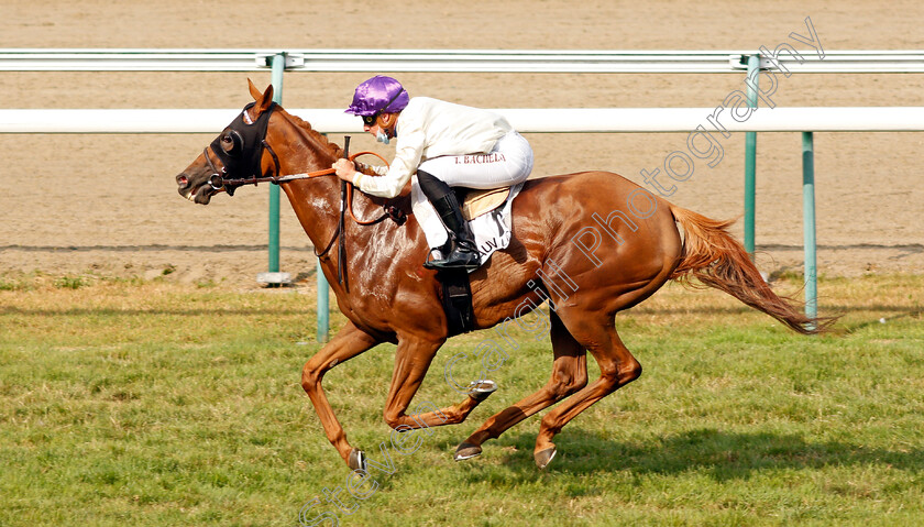 Folleville-0006 
 FOLLEVILLE (T Bachelot) wins The Prix d'Equemauville
Deauville 8 Aug 2020 - Pic Steven Cargill / Racingfotos.com