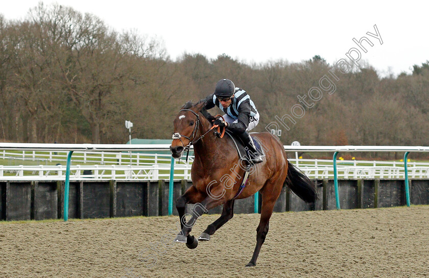 Fancy-Man-0004 
 FANCY MAN (Sean Levey) wins The Betway Winter Derby Trial Stakes
Lingfield 5 Feb 2022 - Pic Steven Cargill / Racingfotos.com