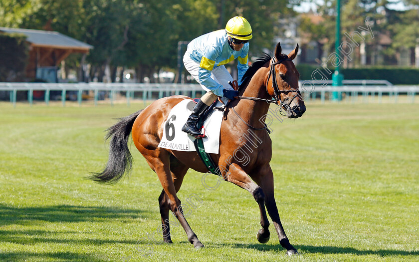 Ocean-Cloud-0002 
 OCEAN CLOUD (C Fiocchi)
Deauville 6 Aug 2022 - Pic Steven Cargill / Racingfotos.com