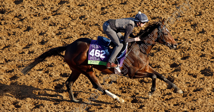 Porta-Fortuna-0001 
 PORTA FORTUNA training for the Breeders' Cup Mile
Del Mar USA 30 Oct 2024 - Pic Steven Cargill / Racingfotos.com