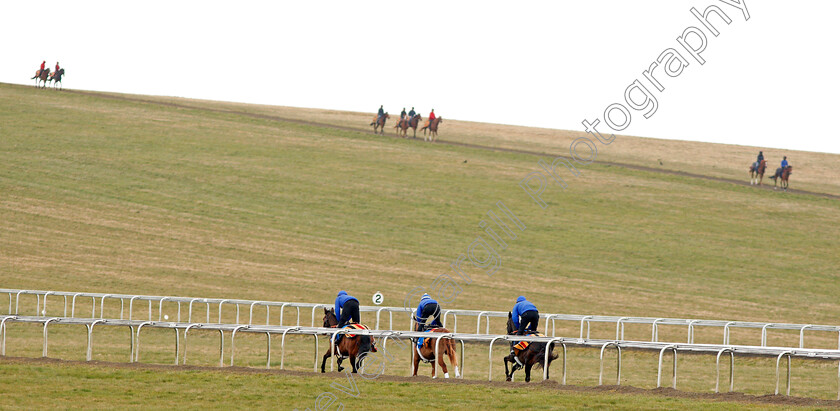 Newmarket-0016 
 Racehorses exercising on Warren Hill Newmarket 23 Mar 2018 - Pic Steven Cargill / Racingfotos.com