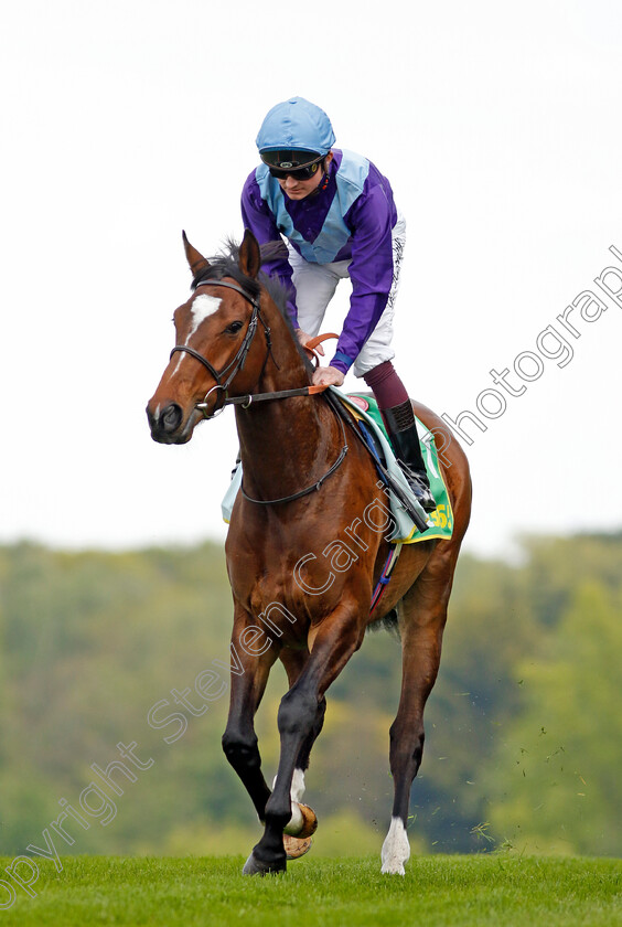 Artistic-Star-0001 
 ARTISTIC STAR (Rob Hornby)
Sandown 26 Apr 2024 - Pic Steven Cargill / Racingfotos.com