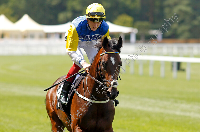 Buxted-Reel-0002 
 BUXTED REEL (David Egan)
Ascot 23 Jul 2021 - Pic Steven Cargill / Racingfotos.com