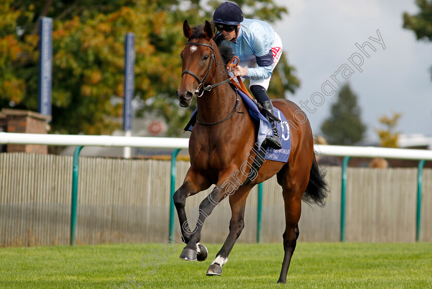 Eximious-0001 
 EXIMIOUS (Jack Mitchell)
Newmarket 23 Sep 2022 - Pic Steven Cargill / Racingfotos.com