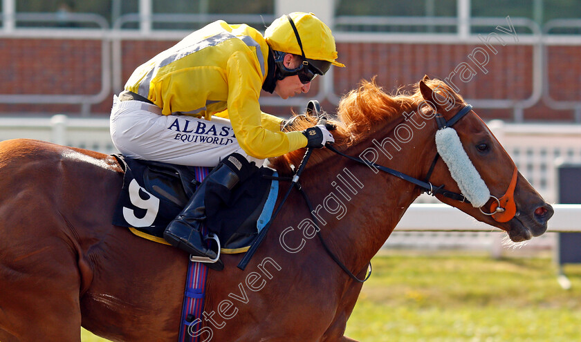 Gypsy-Lady-0004 
 GYPSY LADY (Luke Morris) wins The tote Placepot First Bet Of The Day Restricted Maiden Stakes
Chelmsford 3 Jun 2021 - Pic Steven Cargill / Racingfotos.com