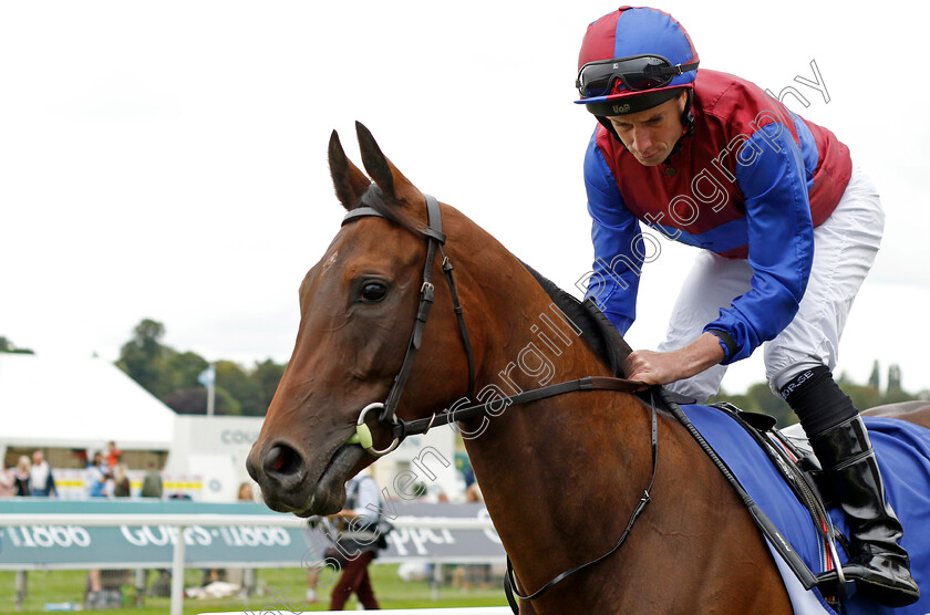 Cherry-Blossom-0001 
 CHERRY BLOSSOM (Ryan Moore)
York 24 Aug 2023 - Pic Steven Cargill / Racingfotos.com