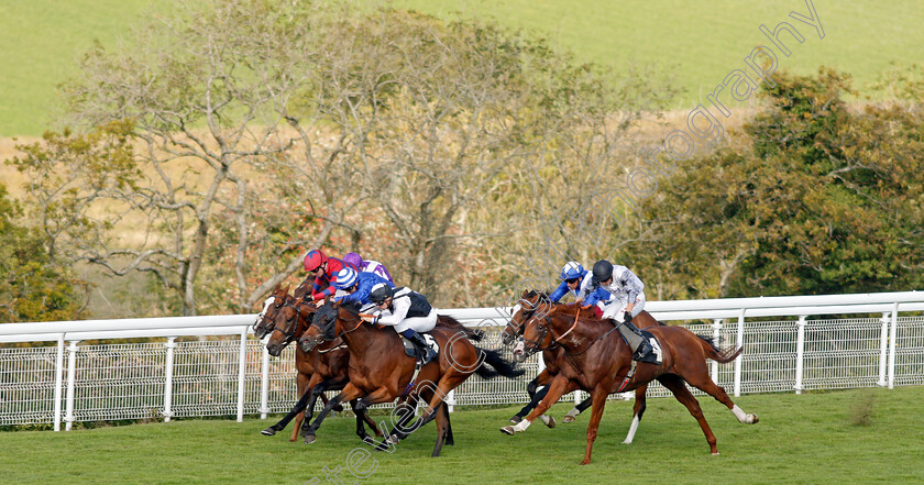 Victory-Chime-0003 
 VICTORY CHIME (Hector Crouch) beats TYSON FURY (right) in The Best of British Events Foundation Stakes
Goodwood 22 Sep 2021 - Pic Steven Cargill / Racingfotos.com