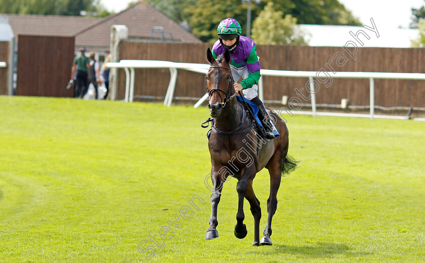 One-Night-In-Milan-0001 
 ONE NIGHT IN MILAN (Billy Garritty)
Leicester 15 Jul 2021 - Pic Steven Cargill / Racingfotos.com