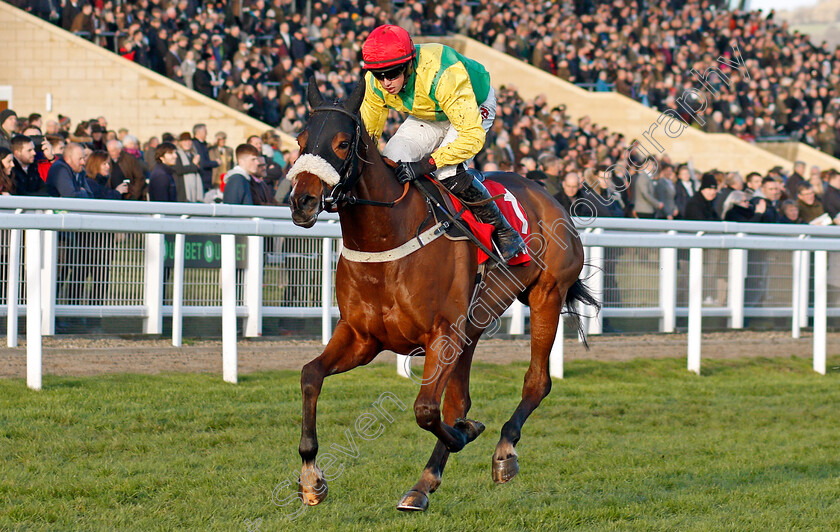 Fox-Norton-0003 
 FOX NORTON (Bryan Cooper) wins The Shloer Chase Cheltenham 19 Nov 2017 - Pic Steven Cargill / Racingfotos.com