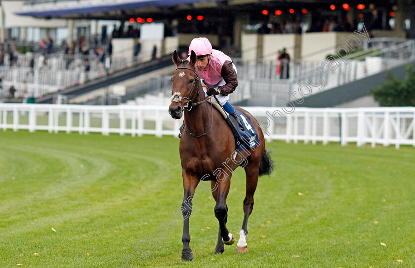 Cadmus-0006 
 CADMUS (William Buick) winner of The Peroni Nastro Azzurro Novice Stakes
Ascot 30 Sep 2022 - Pic Steven Cargill / Racingfotos.com