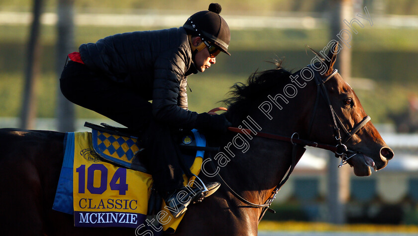 Mckinzie-0004 
 MCKINZIE training for The Breeders' Cup Dirt Classic
Santa Anita USA 31 Oct 2019 - Pic Steven Cargill / Racingfotos.com