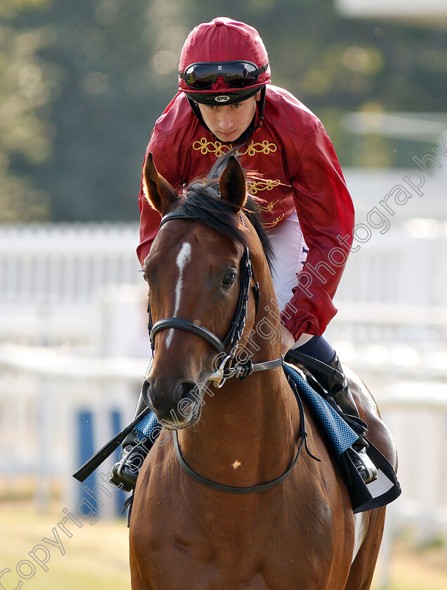 Legends-Of-War-0002 
 LEGENDS OF WAR (Oisin Murphy) before winning The Compton Beauchamp Estates Ltd EBF Novice Stakes
Newbury 26 Jul 2018 - Pic Steven Cargill / Racingfotos.com