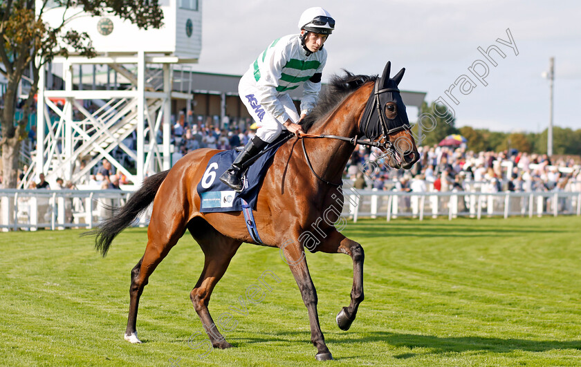 Ching-Shih-0001 
 CHING SHIH (Luke Morris)
Yarmouth 14 Sep 2022 - Pic Steven Cargill / Racingfotos.com