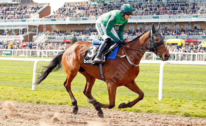 El-Fabiolo 
 EL FABIOLO (Paul Townend)
Aintree 8 Apr 2022 - Pic Steven Cargill / Racingfotos.com