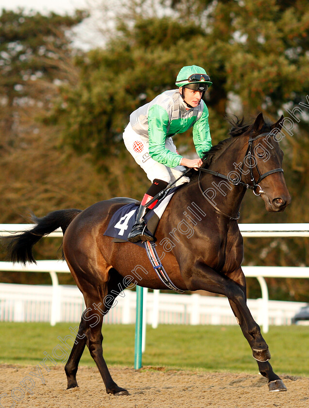 Thunderoad-0001 
 THUNDEROAD (Aaron Jones)
Lingfield 18 Jan 2019 - Pic Steven Cargill / Racingfotos.com