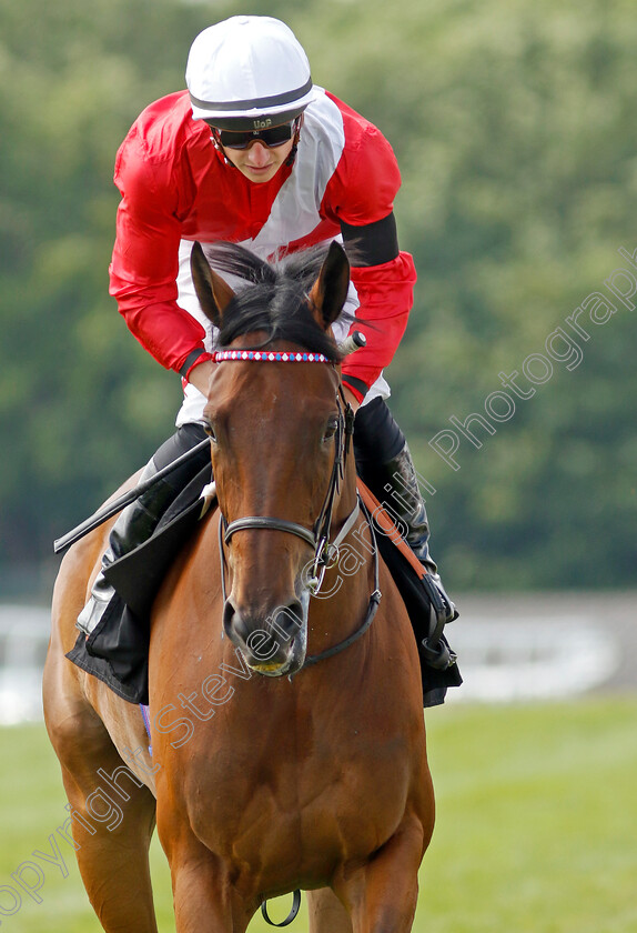 Bashkirova-0002 
 BASHKIROVA (Tom Marquand) winner of The Princess Elizabeth Stakes
Epsom 4 Jun 2022 - Pic Steven Cargill / Racingfotos.com