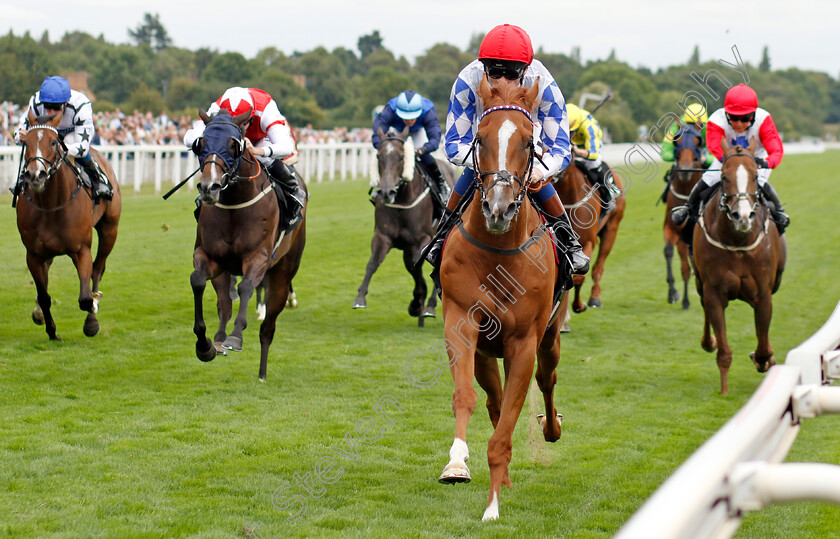 Designer-0004 
 DESIGNER (David Egan) wins The Celebrate ITM's 200th Ire Voucher Winner Handicap
York 17 Aug 2022 - Pic Steven Cargill / Racingfotos.com