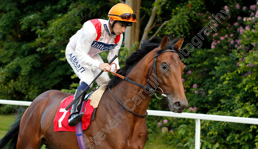 Pondus-0001 
 PONDUS (Oisin Murphy) before The Watch The #Bettingpeople Videos starsportsbet.co.uk EBF NOvice Stakes
Sandown 30 May 2019 - Pic Steven Cargill / Racingfotos.com