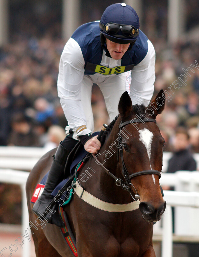 Walk-In-The-Mill-0001 
 WALK IN THE MILL (Martin McIntyre)
Cheltenham 16 Nov 2018 - Pic Steven Cargill / Racingfotos.com