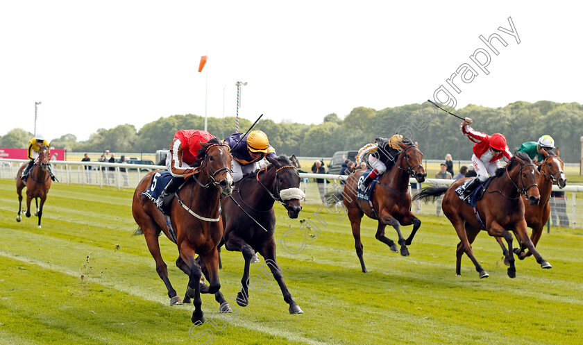 Give-And-Take-0003 
 GIVE AND TAKE (left, James Doyle) beats DACING BRAVE BEAR (2nd left) in The Tattersalls Musidora Stakes York 16 May 2018 - Pic Steven Cargill / Racingfotos.com