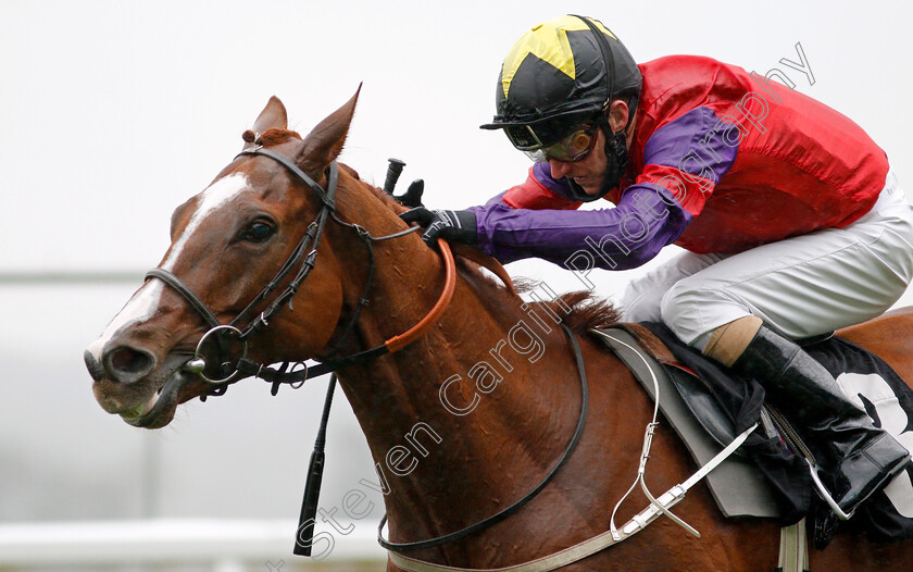 Rochester-House-0005 
 ROCHESTER HOUSE (Joe Fanning) wins The ABF Soldiers' Charity Gordon Carter Handicap
Ascot 2 Oct 2020 - Pic Steven Cargill / Racingfotos.com