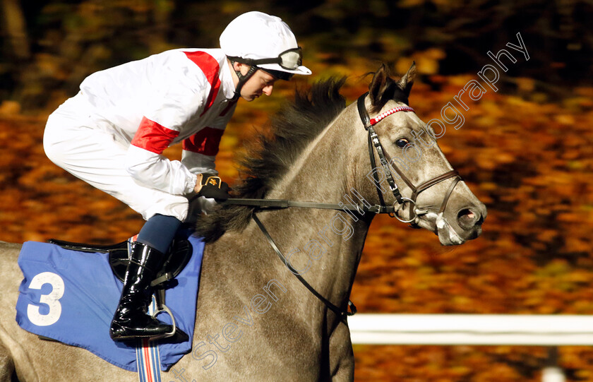 Cool-Legend-0001 
 COOL LEGEND (Adam Farragher)
Kempton 6 Dec 2023 - Pic Steven Cargill / Racingfotos.com