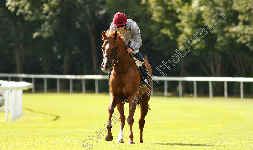 Hathal-0001 
 HATHAL (William Buick)
Salisbury 16 Aug 2018 - Pic Steven Cargill / Racingfotos.com