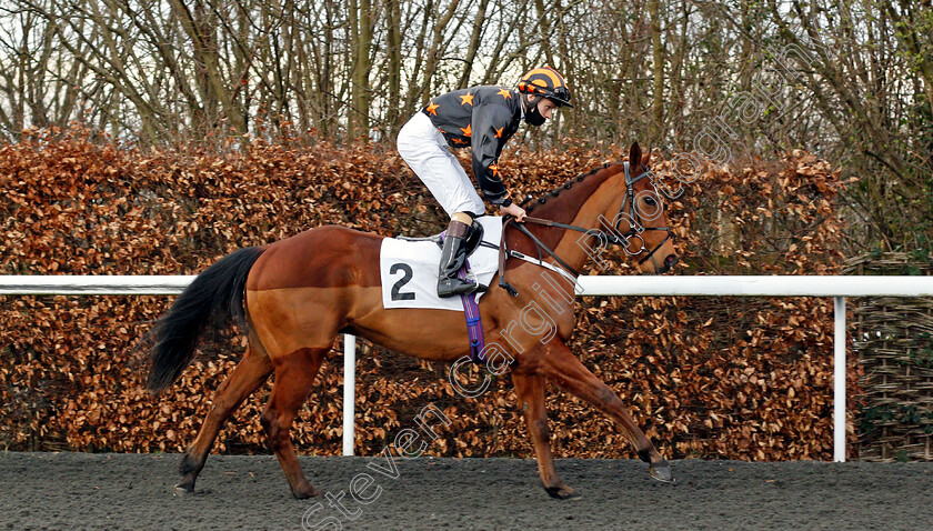 Elusive-Treat-0002 
 ELUSIVE TREAT (Oisin McSweeney) winner of The Unibet 3 Uniboosts A Day Apprentice Handicap
Kempton 24 Feb 2021 - Pic Steven Cargill / Racingfotos.com