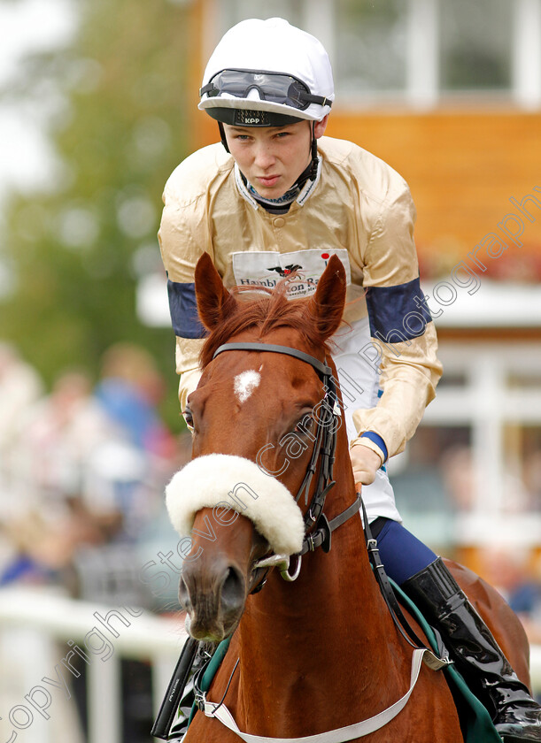 American-Style-0001 
 AMERICAN STYLE (Billy Loughnane)
York 22 Aug 2024 - pic Steven Cargill / Racingfotos.com