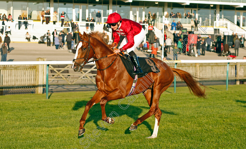 Harper s-Ferry-0001 
 HARPER'S FERRY (P J McDonald)
Newmarket 25 Oct 2023 - Pic Steven Cargill / Racingfotos.com