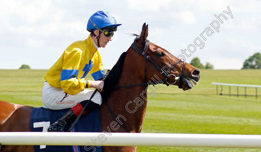 Stay-Alert-0006 
 STAY ALERT (David Egan) winner of The William Hill Dahlia Stakes
Newmarket 5 May 2024 - Pic Steven Cargill / Racingfotos.com