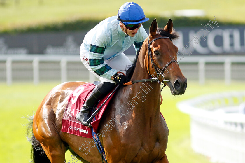 Quickthorn-0018 
 QUICKTHORN (Tom Marquand) winner of The Al Shaqab Goodwood Cup
Goodwood 1 Aug 2023 - Pic Steven Cargill / Racingfotos.com