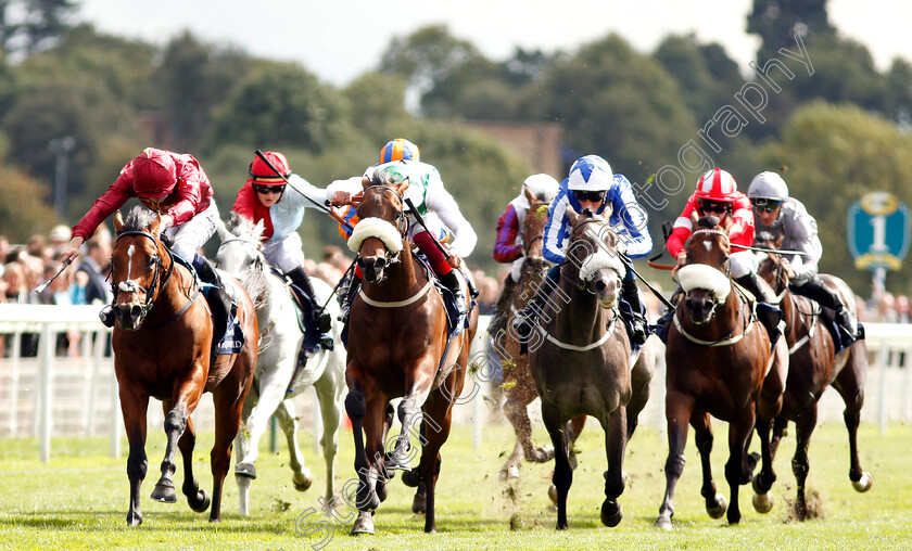 Emaraaty-Ana-0002 
 EMARAATY ANA (centre, Frankie Dettori) beats LEGENDS OF WAR (left) in The Al Basti Equiworld Gimcrack Stakes
York 24 Aug 2018 - Pic Steven Cargill / Racingfotos.com