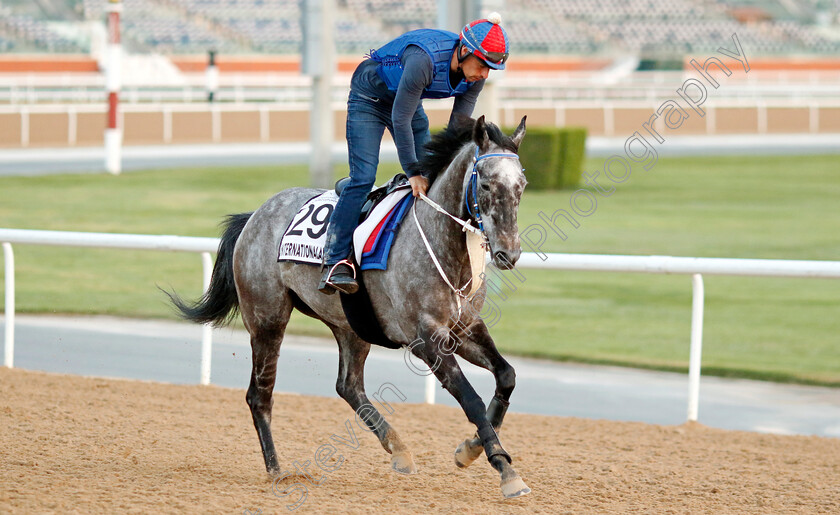 Internationalangel-0002 
 INTERNATIONALANGEL training at Meydan, Dubai
2 Feb 2023 - Pic Steven Cargill / Racingfotos.com