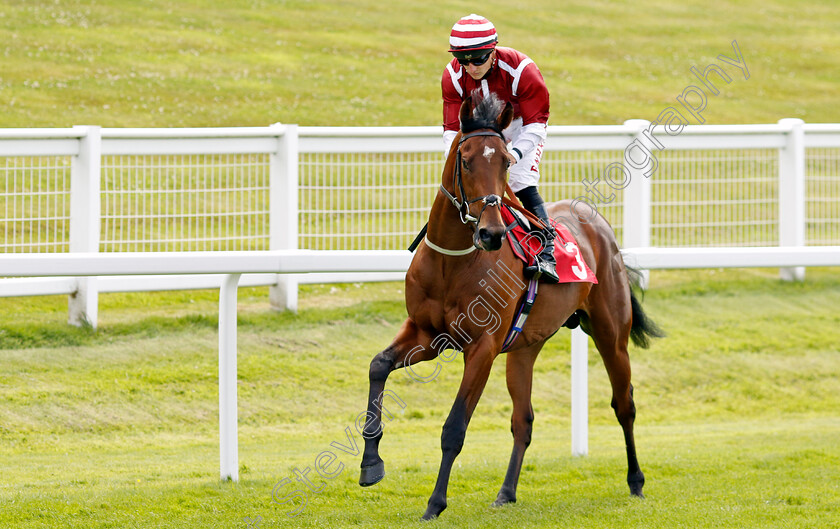 Chindwin 
 CHINDWIN (Tom Marquand)
Sandown 1 Jul 2022 - Pic Steven Cargill / Racingfotos.com