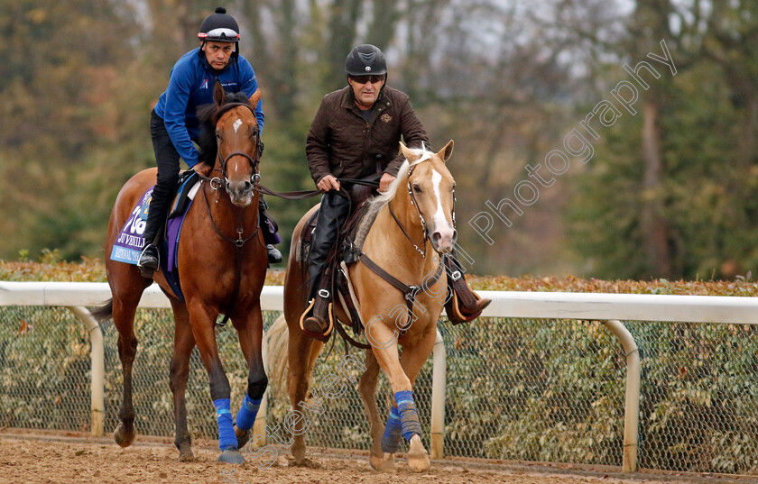 National-Treasure-0001 
 NATIONAL TREASURE training for the Breeders' Cup Juvenile
Keeneland, USA 31 Oct 2022 - Pic Steven Cargill / Racingfotos.com