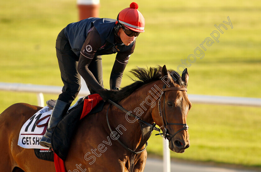 Get-Shirty-0002 
 GET SHIRTY training for The Dubai Gold Cup
Meydan, Dubai, 22 Mar 2023 - Pic Steven Cargill / Racingfotos.com