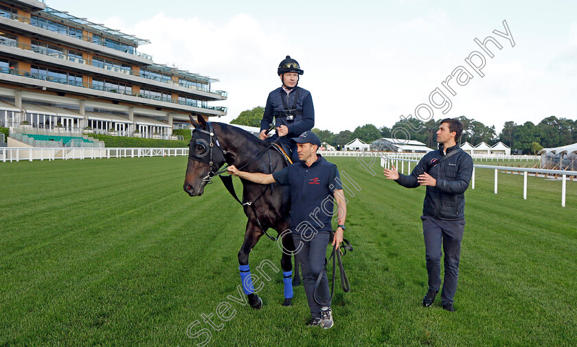 Artorius-0006 
 ARTORIUS (Jamie Spencer) - Australia to Ascot, preparing for the Royal Meeting, with Sam Freedman
Ascot 10 Jun 2022 - Pic Steven Cargill / Racingfotos.com