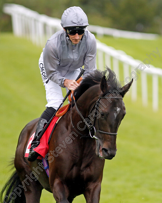 Atlantic-Convoy-0001 
 ATLANTIC CONVOY (Daniel Tudhope)
Sandown 27 Jul 2023 - Pic Steven Cargill / Racingfotos.com