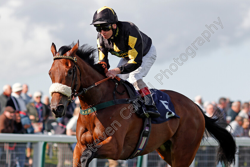 Rayna s-World-0004 
 RAYNA'S WORLD (Jimmy Quinn) wins The Vince Sullivan Memorial Nursery Yarmouth 19 Sep 2017 - Pic Steven Cargill / Racingfotos.com