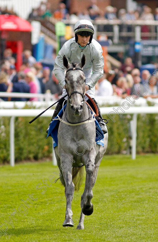 Outside-World-0001 
 OUTSIDE WORLD (Jason Hart)
Chester 5 May 2022 - Pic Steven Cargill / Racingfotos.com