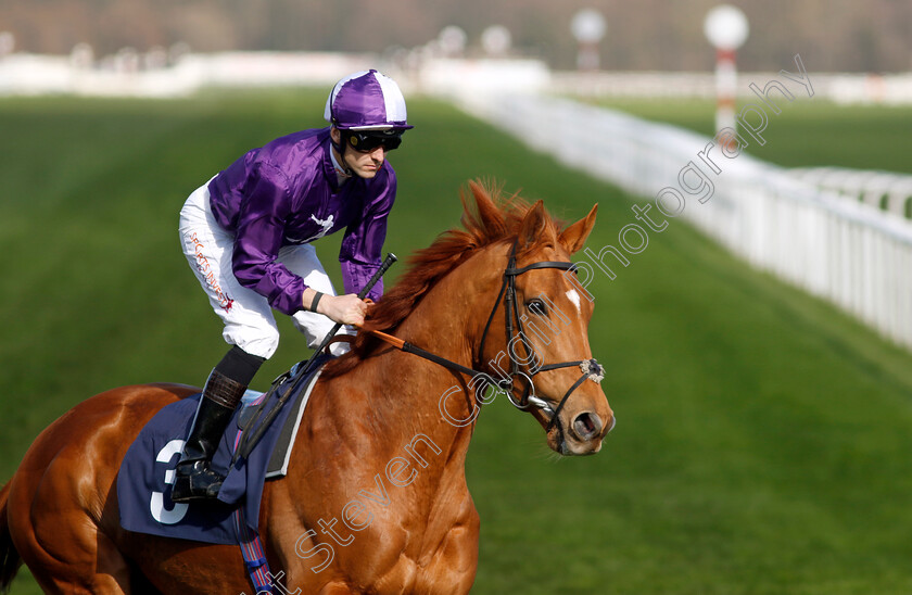 Sir-Rumi-0001 
 SIR RUMI (Kevin Stott)
Doncaster 2 Apr 2023 - Pic Steven Cargill / Racingfotos.com