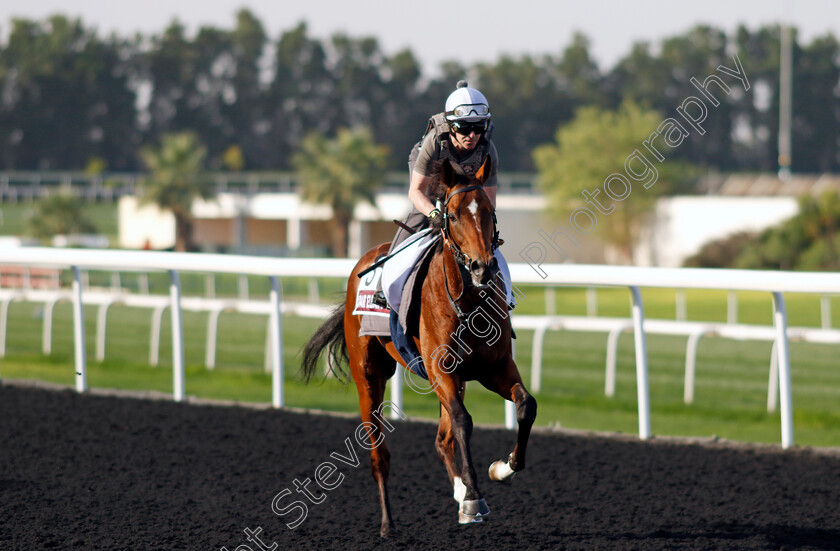 Eldar-Eldarov-0001 
 ELDAR ELDAROV training for The Dubai Gold Cup
Meydan Dubai 27 Mar 2024 - Pic Steven Cargill / Racingfotos.com