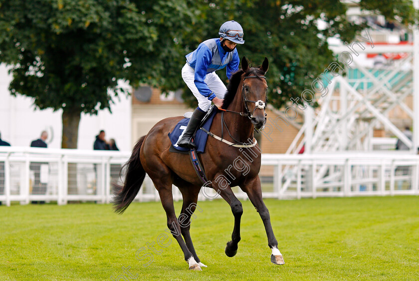 Thermal-0001 
 THERMAL (Alec Voikhansky)
Yarmouth 1 Jul 2021 - Pic Steven Cargill / Racingfotos.com