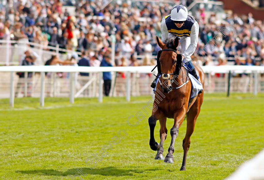 Mo-Ghille-Mar-0001 
 MO GHILLE MAR (Oisin Orr)
York 24 Aug 2024 - Pic Steven Cargill / Racingfotos.com